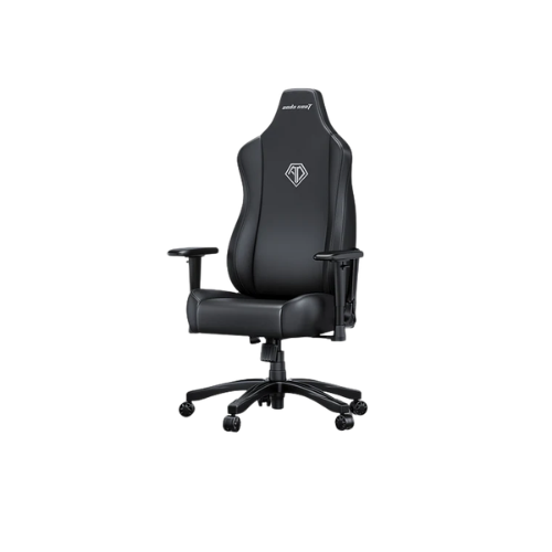 AndaSeat Novis Series Best Budget Ergonomic Gaming Chair - Elegant Black