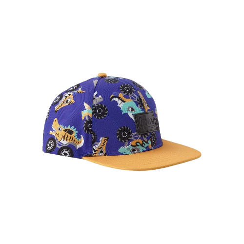 Cap Blue Truck Print