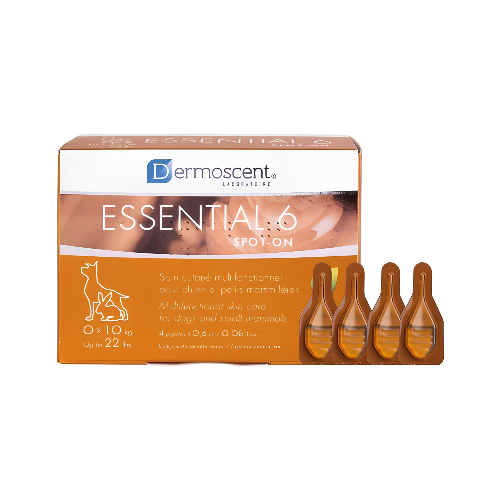 Essential 6 For Dogs for Small Dogs Up To 22 lbs
