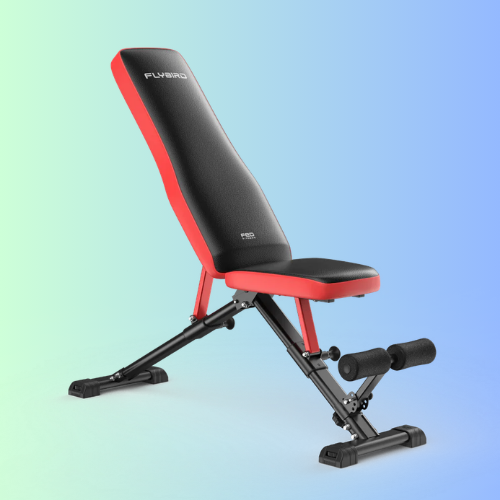 FED Fitness Flybird Series WB6 Foldable Adjustable Weight Bench Classic