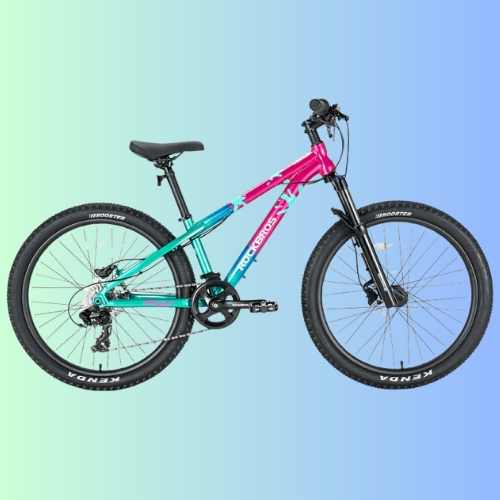 FLY-24 Inch Mountain Kid Bike