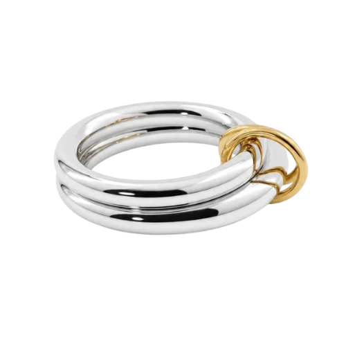 Mixed Metal 2-Link Chain Ring