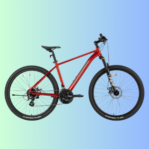 MT200 - Mountain Bike