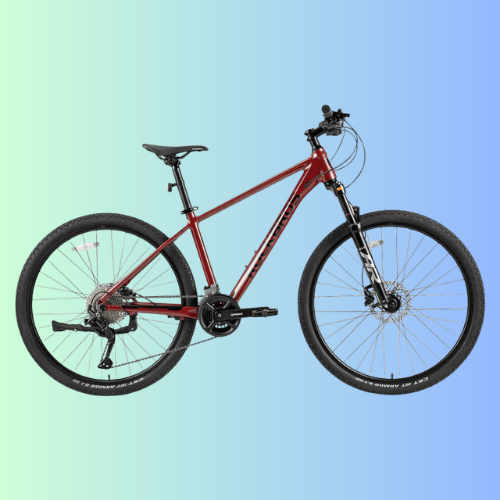 MT300-Mountain Bike
