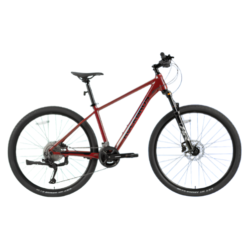 MT300-Mountain Bike