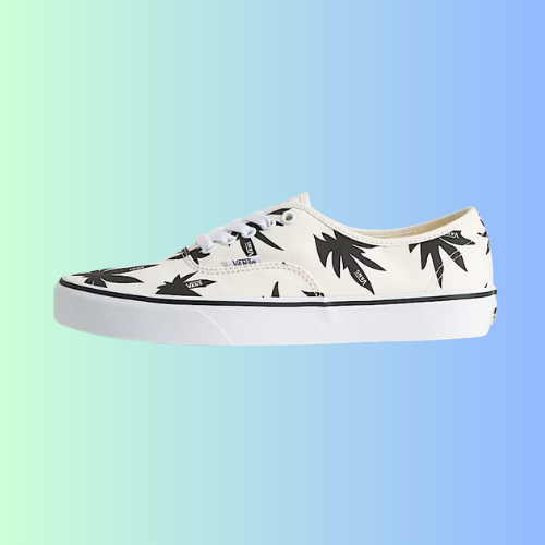 Score the Classic Vans Authentic Shoe Today — 50% OFF