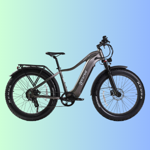 Young Electric E-Scout Pro